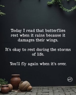 FB_IMG_1734475014335.jpg