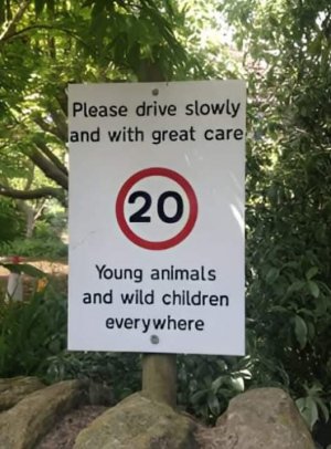 IMG_1724.jpeg