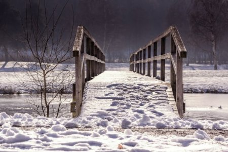 white bridge.jpg