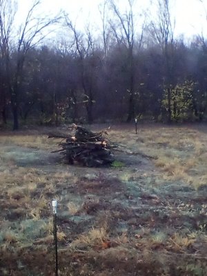 IMG_20241218_074657.jpg