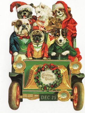 dogs in jalopy.jpg