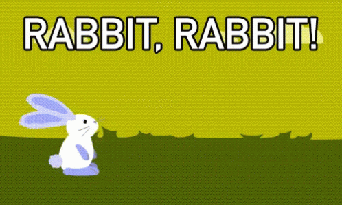 1734536392008.gif