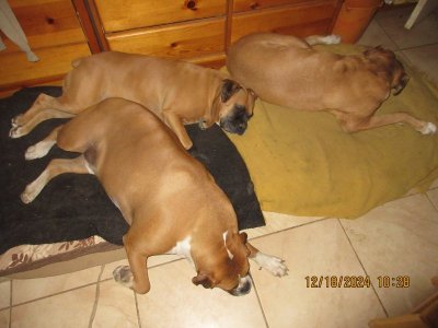 IMG_6991.JPG