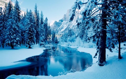 Winter Scene.jpg
