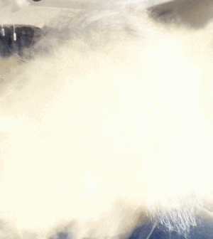 imageedit_14_2347568411.gif imageedit_14_2347568411.gif