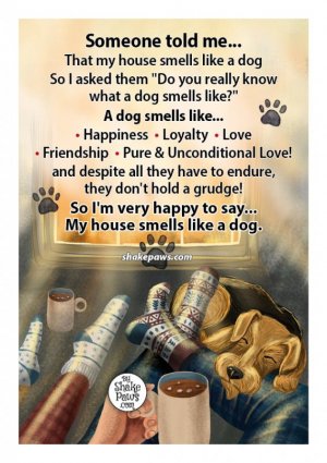 smells like dog.jpg