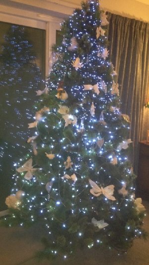 Christmas Tree 002.JPG