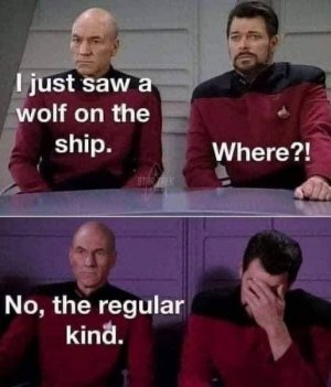 IMG_9910.jpeg