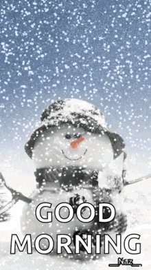 1734685463181.gif