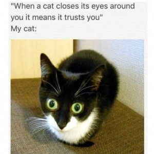 FB_IMG_1734560280176.jpg