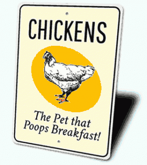Chickens.gif