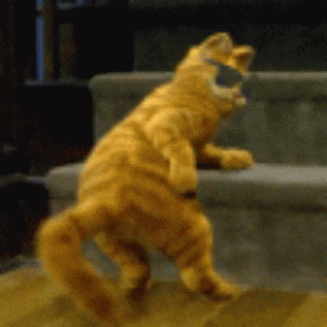 1734693688613.gif