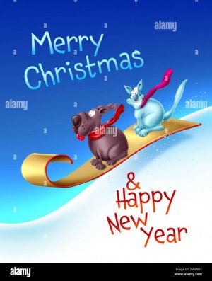 christmas-card-merry-christmas-and-happy-new-year-background-funny-dog-and-cat-sledding-down-a...jpg