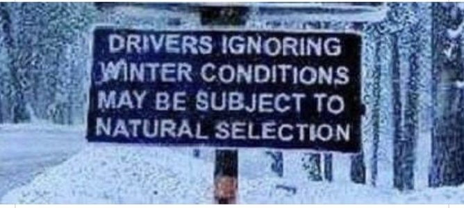 signs.jpg