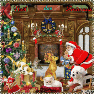 9567217_861d3.gif