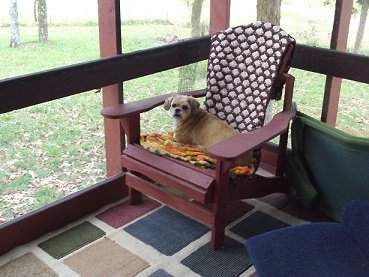 adirondack chair.JPG