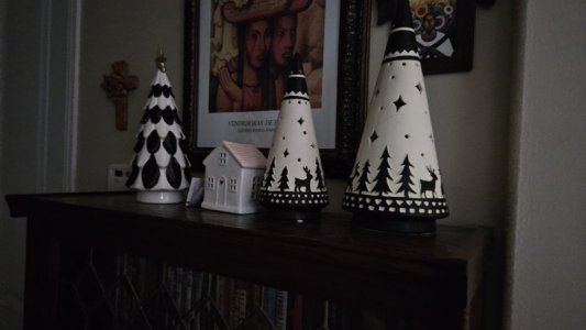 20241215_072836.jpg