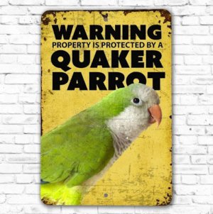 Quaker @.jpg