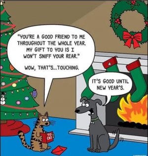 FB_IMG_1734475210025.jpg