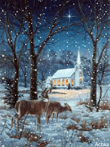 winter-wonderland-deer.gif