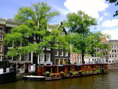 green tree boat canal.jpg