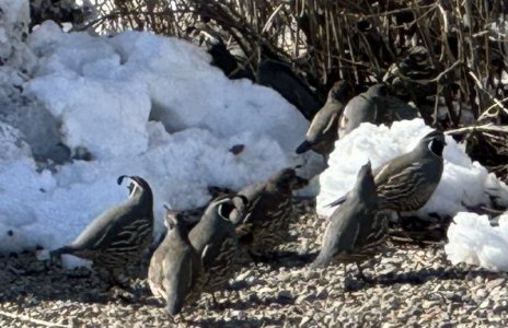 IMG_3370.jpg IMG_3370.jpg