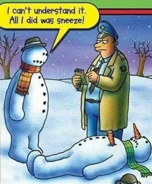 FB_IMG_1734910969172.jpg
