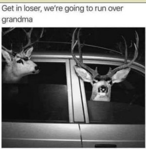 ,jmhfs.jpg