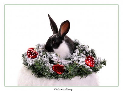 christmas3.jpg