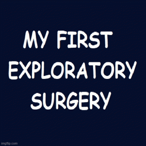 exploratory.gif