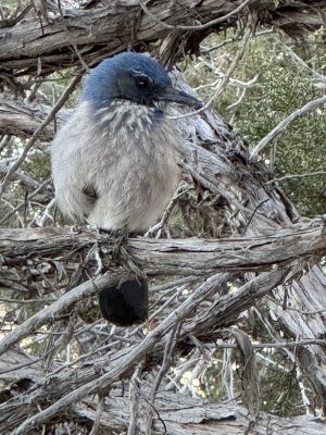 clarks.jpg clarks.jpg