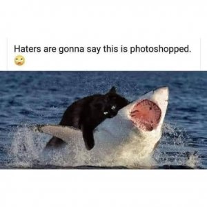 haters.jpg