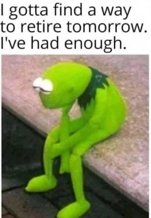 jgfdfg.jpg