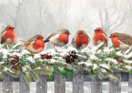 birds.jpg