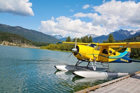 yellow plane.jpg