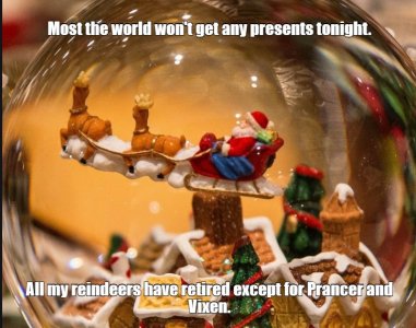 reindeer.jpg