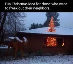 freakoutneighbors.jpg