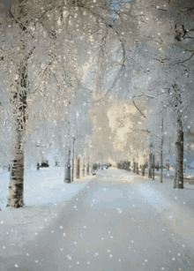 walking-beautiful.gif