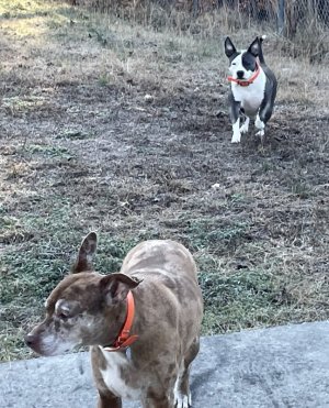 IMG_2310.jpeg