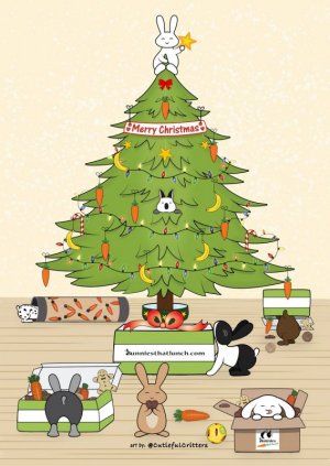 christmas.jpg
