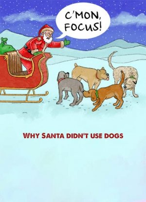 low_Santa Dogs_cover.jpg