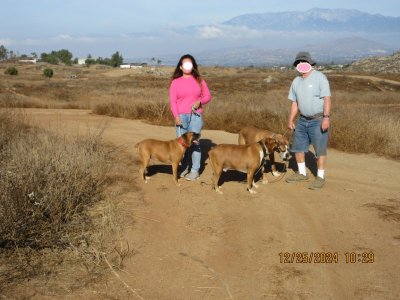 2024-12-25 morning walk 1.jpg