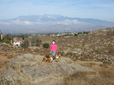 2024-12-25 morning walk 2.jpg