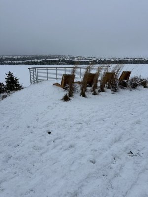 IMG_7110.jpeg