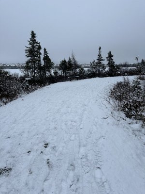 IMG_7109.jpeg