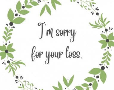 IMG_7127.jpeg IMG_7127.jpeg