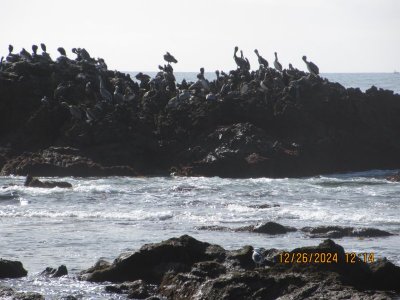 IMG_7069.JPG