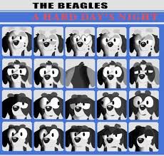 images.jpg