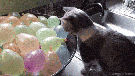 1735351191190.gif
