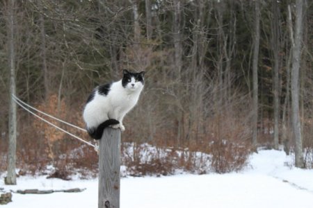 birdwatching1.jpg
